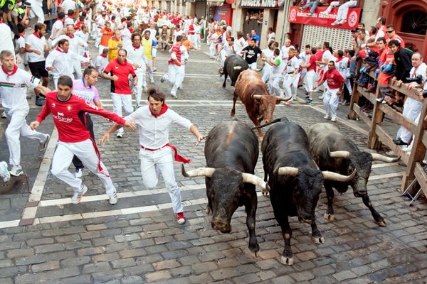 Spain Cancels San Fermin Bull Running Festival