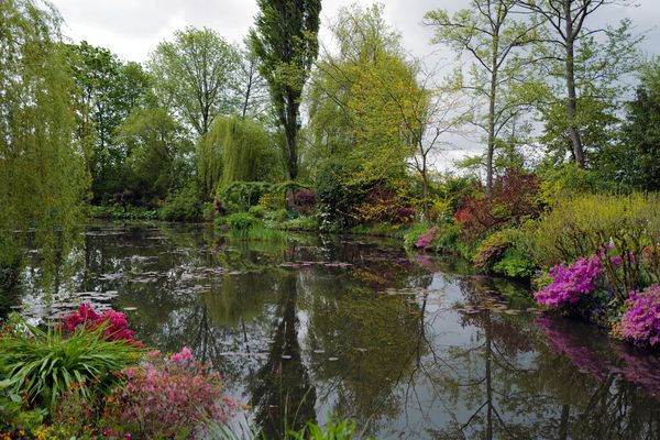 Monet's Gardens Reopen: A Picture-Perfect Pandemic Tonic