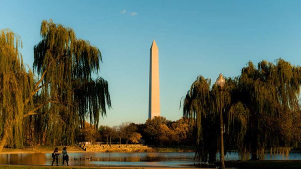 There's Only One DC: This Summer, Catch Some Capital City Culture