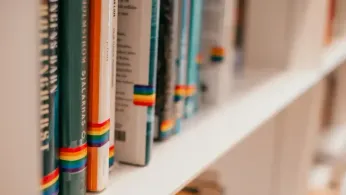 Queer Authors Report Steep Royalty Declines Amid Surge in US Book Bans Targeting Queer Titles